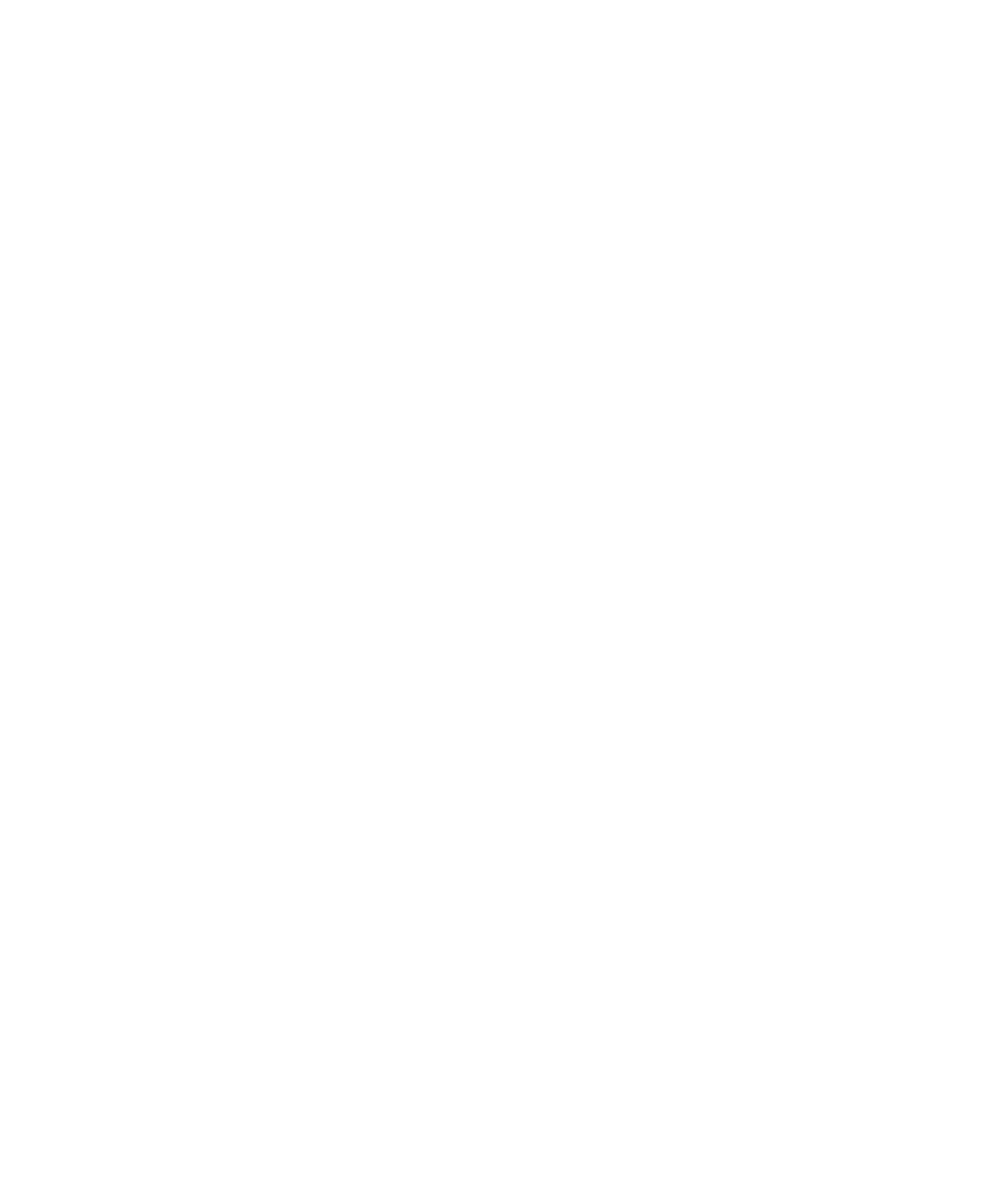 David van Zyl Logo